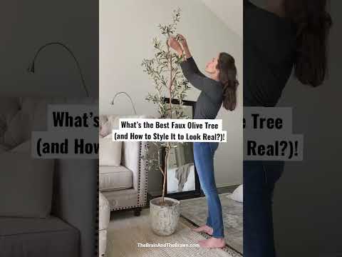 The Best Faux Olive Tree (Plus 3 Tips to Style It Realistically, From a Real Olive Tree Owner!)