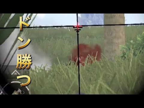 【PUBG】ドン勝つ取ったってやつ