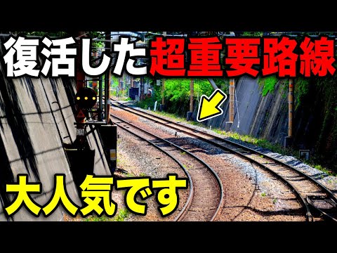 廃止危機から奇跡の復活をとげた"かつての超重要路線"がスゴい！