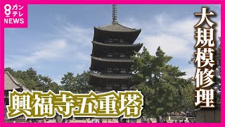 【約120年ぶりの改修工事】奈良のシンボル“興福寺・五重塔”が大改修　終了は2031年以降予定【関西テレビ・newsランナー】