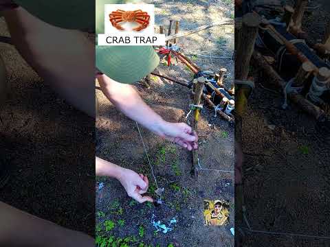 DANGEROUS CRAB TRAP   #survival  #nature  #hunting  #