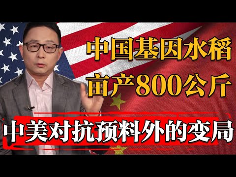 中國最新基因編輯水稻畝產突破800公斤？哈佛大學教授：這場中美對抗會以預料之外的方式結束#历史 #文化 #聊天 #纪实 #窦文涛 #马未都 #马家辉 #周轶君 #熱門 #推薦 #香港