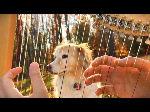 Hallelujah on a Harp - Leonard Cohen Tribute