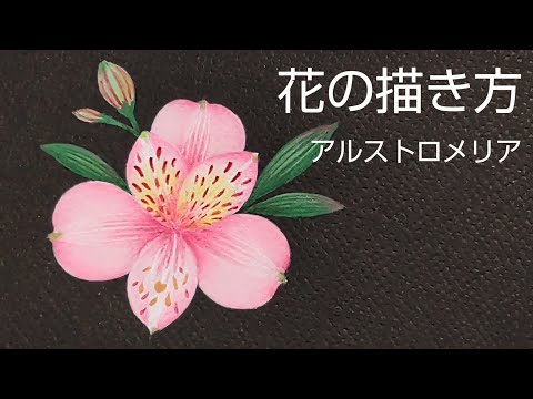 Tole painting How to draw flowers (Alstroemeria) Acrylic painting