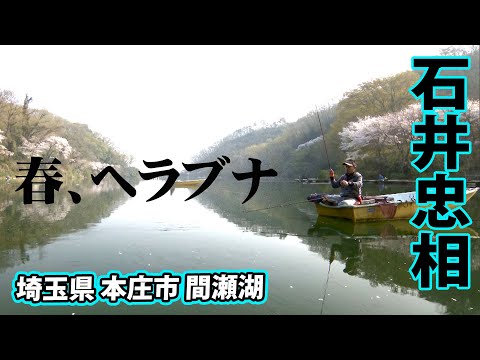 石井忠相のヘラブナ釣り。春の間瀬湖を長竿で堪能する 1/2 『ヘラブナギャラリー 石井忠相×春到来 間瀬湖の桜に酔いしれる』【釣りビジョン】