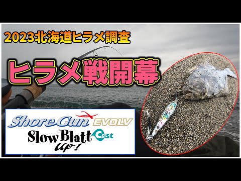 【北海道ヒラメ調査2023】道南日本海サーフ：まだ早いかなぁ～と思いつつのヒラメ調査で今季初HIT！