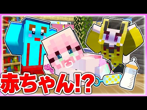 🌈赤ちゃんになった女の子をお世話しろ!! 【まいくら / マインクラフト】