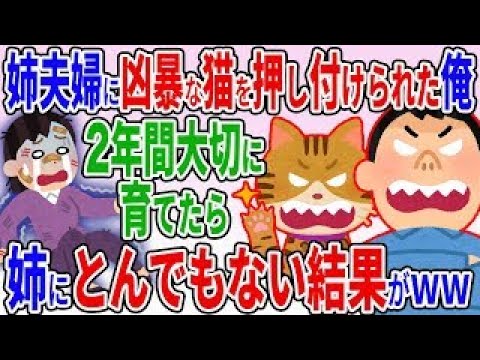 姉から狂暴なネコを押し付けられた俺→代わりに2年間大切に育てたらとんでもない結果にww【2ch修羅場スレ】【ゆっくり解説】