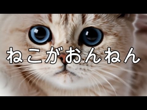 250316【AI Cat Dance】自作の詩でAIがどんな曲を創るか【Udio】ねこがおんねん Whispers of Innocence #aicat #ai猫