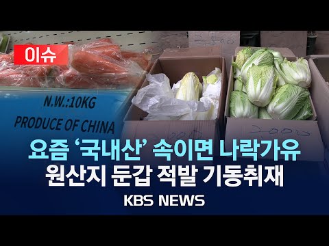 [이슈] 채솟값 고공행진에 ‘중국산’도 ‘국산’인 척...원산지 둔갑 현장 기동취재/2025년 3월 15일(토)/KBS