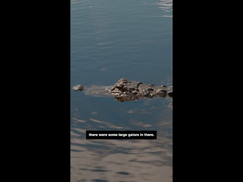 Scuba diver braves gators for golf balls