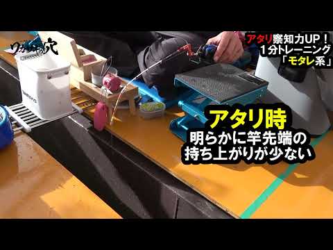 ワカサギ　アタリ察知力UP!１分トレーニング「居食いモタレ系アタリ」編