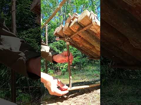 AN ANIMAL TRAP, UNDER EXTREME CONDITIONS IN THE FOREST  #survival #trap #bushcraft #nature