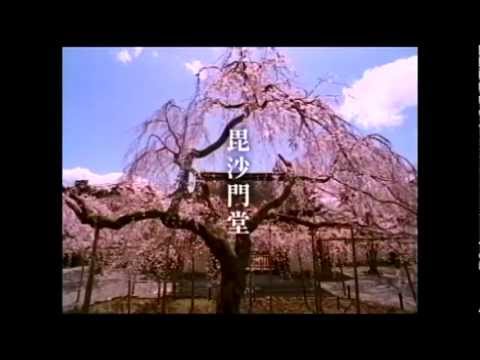 そうだ京都行こう－毘沙門堂 2000年2月