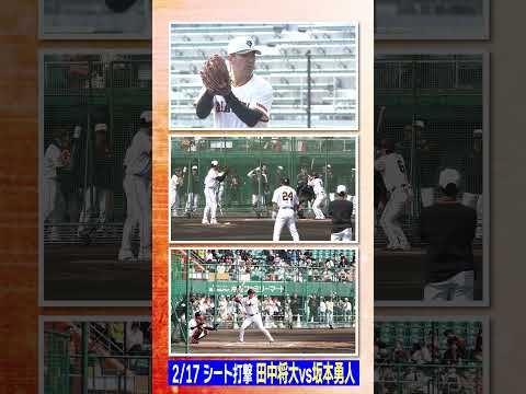 【3画面で見る マー君 × 坂本勇人】#巨人 #田中将大 #坂本勇人 #シート打撃 #日テレスポーツ #shorts