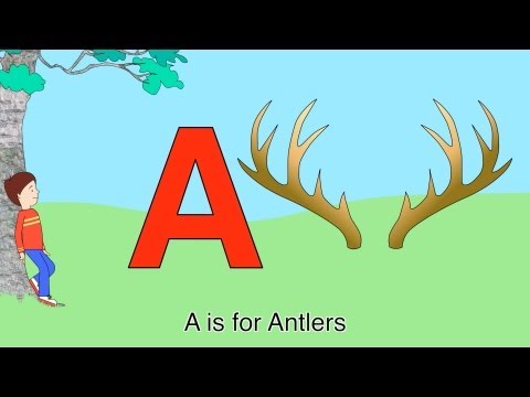 Best ABC Alphabet Song (A is for Antlers-Zed)