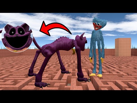 CATNAP VS HUGGY WUGGY IN MAZE (Garry's Mod)