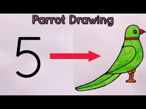 How to draw parrot drawing from number 5 | Parrot Drawing Easy | parrot drawing with Colour#parrot