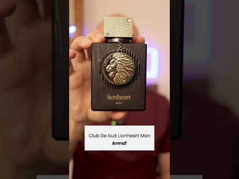 Armaf Club De Nuit Lionheart Man and Woman Review  #mensperfume  #middleeastfragrance