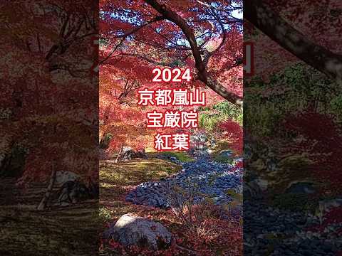 2024.12.2.京都嵐山の宝厳院紅葉Autumn leaves at Hogon-in Temple in Arashiyama, Kyoto,Japan 2024