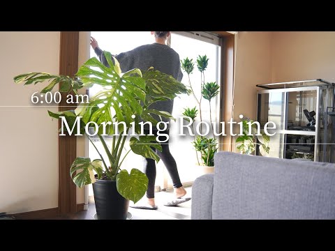 Morning Habits that Create a Fulfilling Day | Morning Routine  | Andrew Huberman Inspired