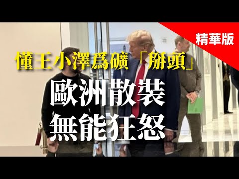 2025.02.25  黃智賢夜問  懂王小澤為礦「掰頭」 歐洲散裝無能狂怒（精華版）