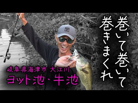 【大江川・ヨット池・牛池】秋のバス釣り 巻物特集！【水野浩聡プロ】ルアーで釣っちゃお！2024年10月放送分