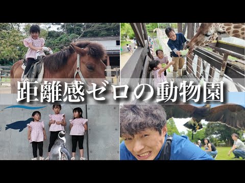 【大迫力】距離感ゼロの動物園で3姉妹が貴重な体験‼︎たくさんの動物たちと触れ合う1日に密着‼︎