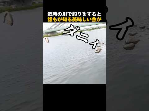 近所の川で美味しい魚が…#shorts