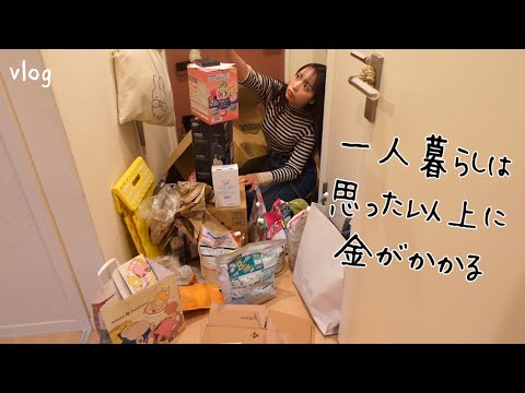 vlog⎮ストック依存女のとある夜⎮セール中散財した購入品の整理💸⎮モンスター錬金🐟⎮自炊