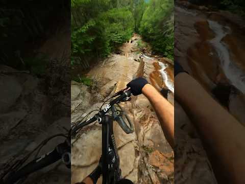 Completely Insane Bike Trail in a river! #mountainbiking #quebec #mtb