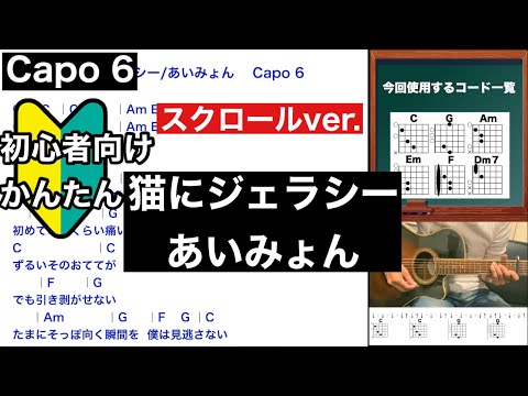 猫にジェラシー/あいみょん/ギター/コード/スクロールver./弾き語り/初心者向け/簡単