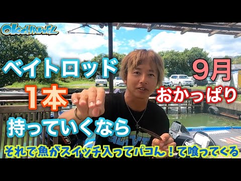 ベイトロッドたった一本でOK‼︎「迷わなくなる」9月のおかっぱりルアーの選び方！2023【バスプロ解説】