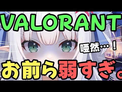 【VALORANT】１００万円のＰＣで遊ぶ・ヴァロラント【水色るみぃ／#vtuber】