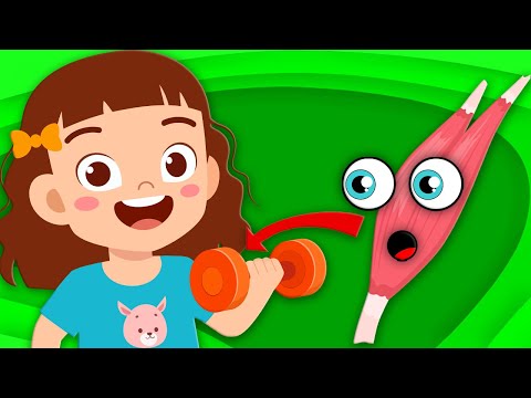 The Muscle Song! | Human Body Songs For Kids  | KLT Anatomy