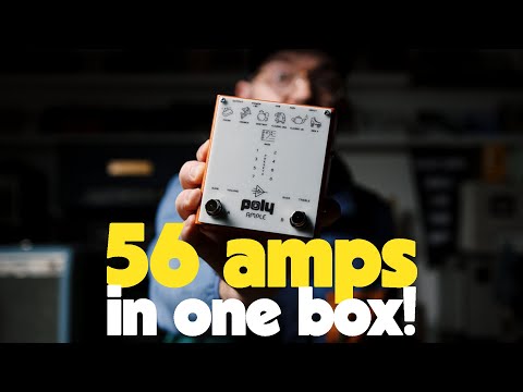 Poly Effects AMPLE - 56 boutique and vintage amps in ONE PEDAL!?