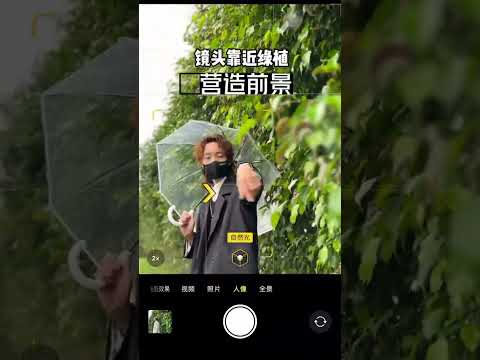 阴雨天跟绿植这样拍，太有氛围感啦，4个拍照技巧浅学一下#雨后拍照 #氛围感拍照 #拍照技巧 #雨天拍照 #我的摄影日记