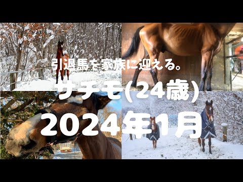 1.(引退馬支援)引退馬を家族に迎えて終わりじゃない。絆を作っていけるのか？素人オーナーに何ができるのか、、、今からが勝負だ🐴✨