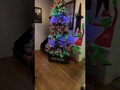 A fun christmas surprise with the grinch!#christmas #grinch #holidayfun #funnyvideo