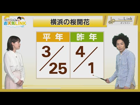 くぼてんきのお天気LINK 2025年3月「今季の冬、ことしの桜」【News Linkオンライン】