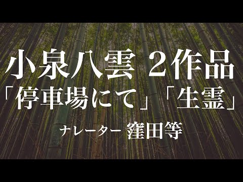 『停車場にて』『生霊』作：小泉八雲　朗読：窪田等　作業用BGMや睡眠導入 おやすみ前 教養にも 本好き 青空文庫