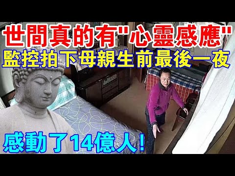 感動14億人！監控拍下母親生前最後一夜，“心靈感應”真實不虛！