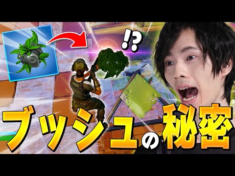 【新発見】超古参のネフでも知らなかった「ブッシュ」の秘密とは？？【フォートナイト/Fortnite】