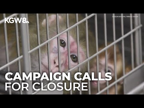 Ad campaign urges closure of OHSU's Primate Research Center