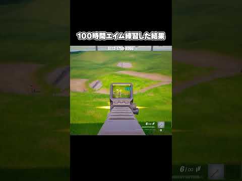 (ネタ)100時間ストライカーアサルトライフルのエイム練習をした結果【フォートナイト】 #あおけんゲーム実況 #フォートナイト #フォート #フォトナ #fortnite