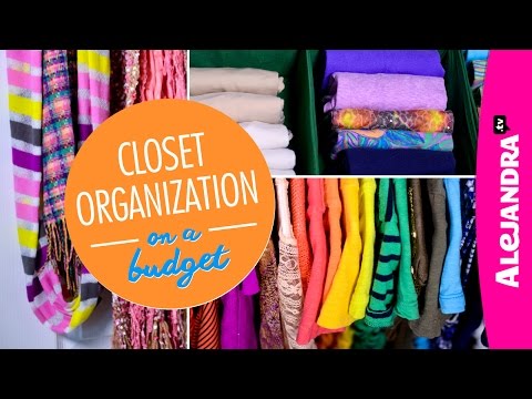 Closet Organization on a Budget (Part 4 of 4 Dollar Store Organizing)