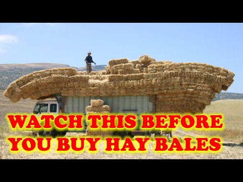 Watch This before Buying Hay