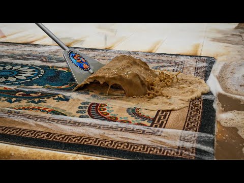 Dirty Carpet to Spotless – ASMR Cleaning That Feels Like Therapy - Satisfying Videos