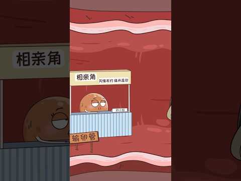 来的勤不一定质量好啊 #animation #沙雕剧情 #搞笑 #funny #動畫