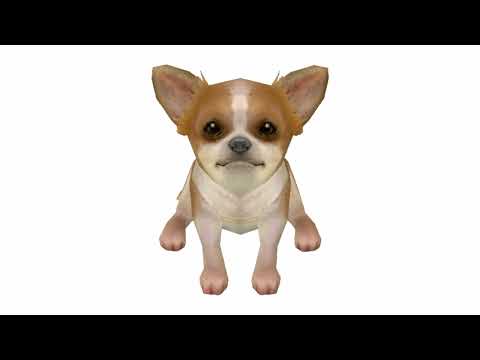 cute nintendogs tunes to walk your dog to